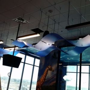 Wave Panels Translucent Canopies